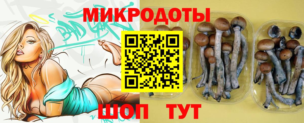 Псилоцибиновые грибы MAGIC MUSHROOMS  Вход с VPN  Гай  Псилоцибиновые грибы Psilocybine cubensis 